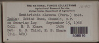 Image Associated With the Occurence